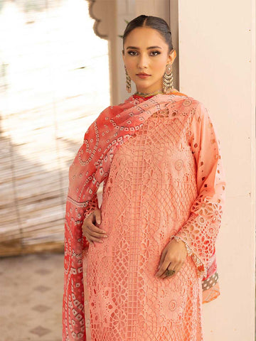 Noor E Chasham by Aalaya Summer Vol 04 '25 D 05